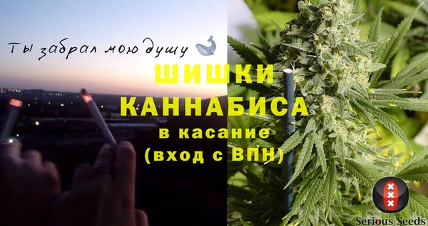 прущие грибы Алексеевка