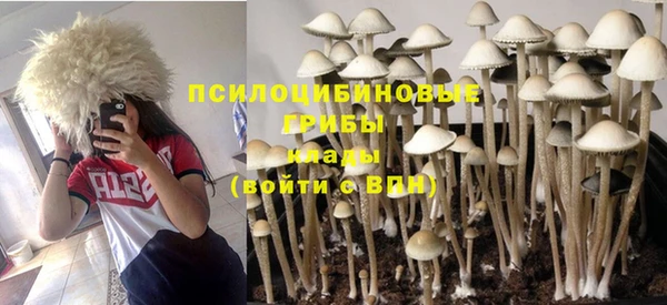 гидра Сатка